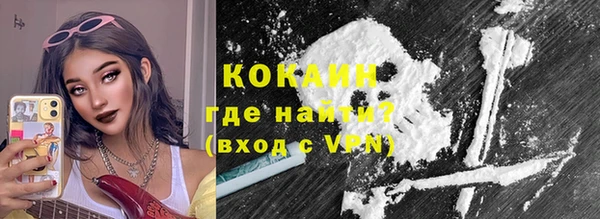 прущие грибы Армянск