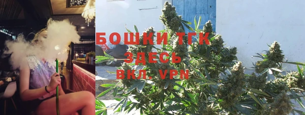 прущие грибы Армянск