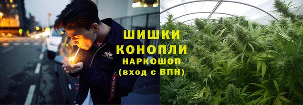 прущие грибы Армянск