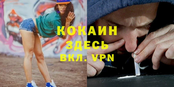 прущие грибы Армянск