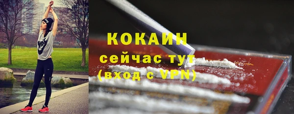 прущие грибы Армянск