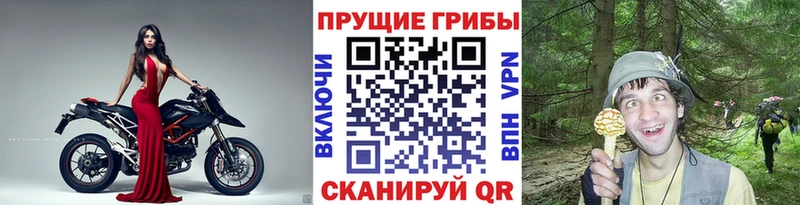 Псилоцибиновые грибы Magic Shrooms  Первоуральск 