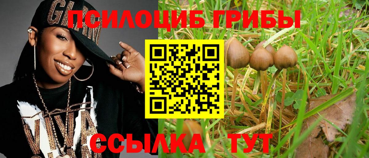 Галлюциногенные грибы Psilocybine cubensis  Псилоцибиновые грибы ЛСД  Первоуральск  Вход с VPN 