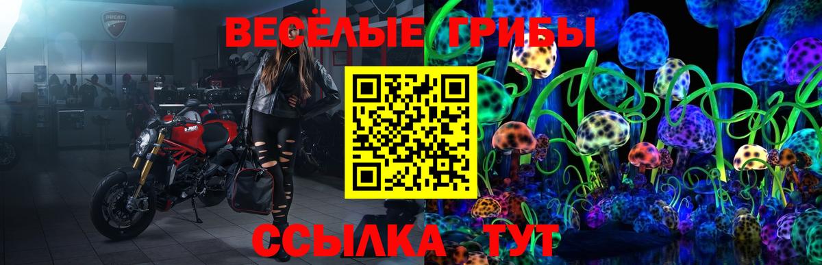 Галлюциногенные грибы Magic Shrooms Первоуральск